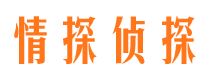 桦甸婚外情调查取证